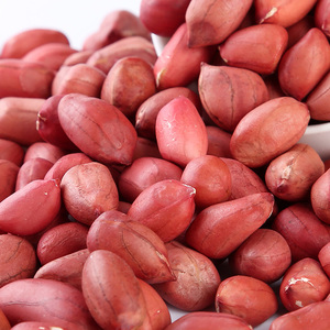 High <strong>Quality</strong> Chinese Raw <strong>Peanut</strong> <strong>in</strong> <strong>Shell</strong> for Sale <strong>in</strong> Bulk Wholesale - Product Image 2