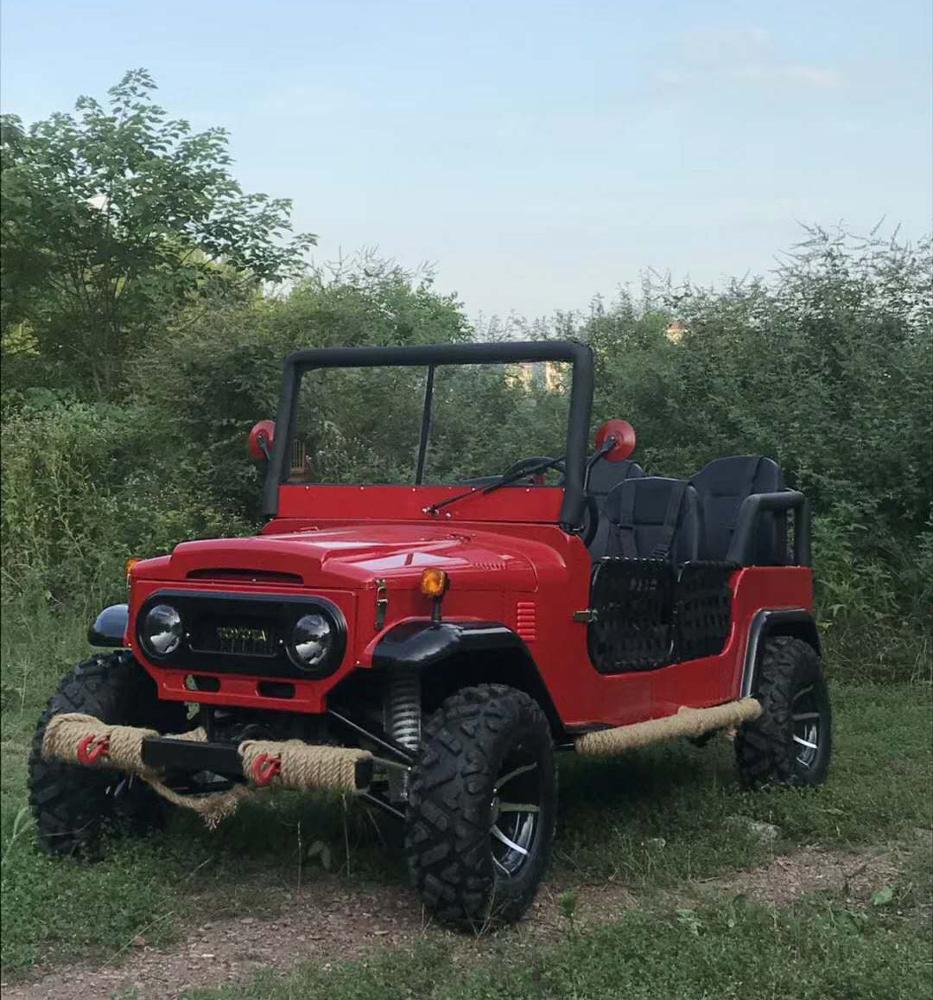 3000 Вт 4000 Вт 5000 Вт Электрический пляжный автомобиль для взрослых внедорожник Электрический вездеход