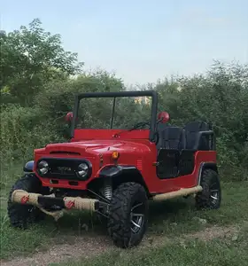 3000W 4000W 5000W véhicule de plage électrique adulte véhicule tout-terrain électrique UTV tout terrain ATV