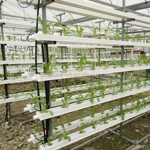 Hidropónicos NFT creciente canaletas para sistemas invernadero comercial - Product Image 2
