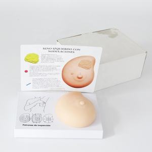 환자 교육용 부드러운 실리콘 유방 검사 해부학 모형 - Product Image 5