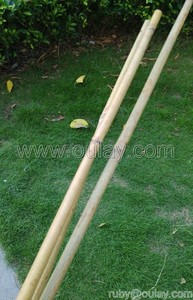 Poteaux durables en bambou Tonkin à paroi épaisse pour soutenir les plantes - Product Image 4