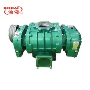 Rotary Blower Roots Vacuum Pump Made In China