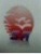Jiaxing Shengrong Textile Co., Ltd. logo
