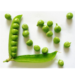 Factory Direct Sales <strong>Beans</strong> and Pea Peeling Machine - Product Image 6