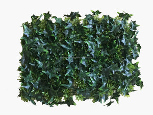 Material de plástico sistema de la <span class=keywords><strong>pared</strong></span> <span class=keywords><strong>vertical</strong></span> verde artificial para decoración de jardín al aire libre - Product Image 3