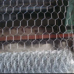 Kawat Galvanis Kawat Jaring Ayam Hexagonal Wire Layar untuk Pagar dengan 1/2Inch Mesh SWG22 3 "X 100 Per Roll dari Grosir