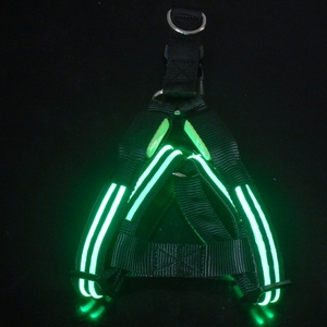 Coleira de cachorro personalizada brilha no escuro piscando led - Product Image 1