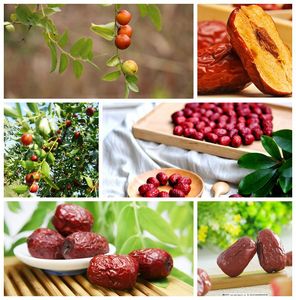 อินทผลัมแดงแห้งจีนคุณภาพพรีเมียมจากซัพพลายเออร์ซีอาน - Product Image 4