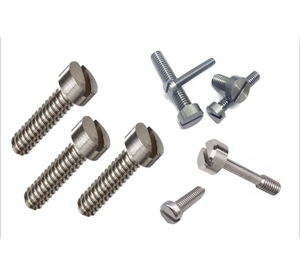 Thép Không Gỉ Saw Rãnh Fillister Đầu <span class=keywords><strong>Micro</strong></span> Máy Vít - Product Image 1