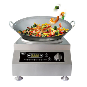 Cóncava plato caliente con Control de temperatura Digital SL-G50-KA12 - Product Image 4