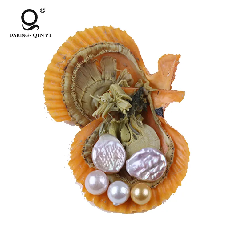 Mother'S Day Gift Red Akoya Oyster Farming Round Pearls In Oyster Shell Price