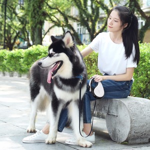 Colliers et Laisses pour animaux de compagnie et Fonction Écologique Offre Spéciale Supre laisse de chien rétractable de Bonne Qualité - Product Image 4