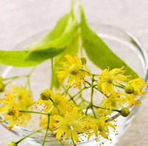 Té de Flores de <span class=keywords><strong>Tilo</strong></span> Secas Naturales, Flores de <span class=keywords><strong>Tilo</strong></span> Enteras - Product Image 3