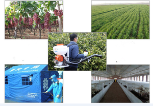 Máy Phun Điện Động Cơ Xăng 4 Thì Và Máy Phun Sương - Product Image 6