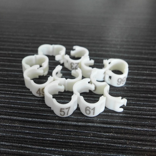 Ivoire