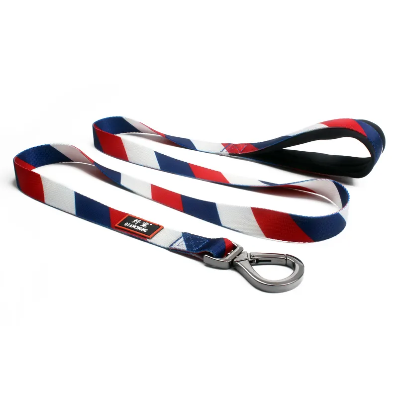 New Arrival Padded Handle Shiny Polyester Pet Dogs Bungee Leash Eco-friendly Stocked
