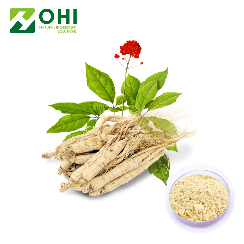 Extrato seco de genseng/extrato de raiz em pó/extrato de genseng