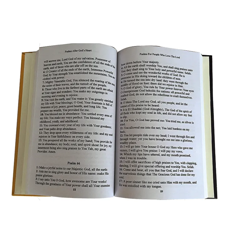 China wholesale competitive price colorful Hardcover chinese-english dictionary for students