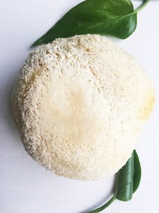 Detan fresco <span class=keywords><strong>hericium</strong></span> <span class=keywords><strong>erinaceus</strong></span> para compradores de setas - Product Image 4