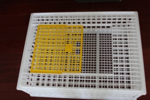 GREAT FARM Cage <span class=keywords><strong>de</strong></span> transport <span class=keywords><strong>de</strong></span> volaille en plastique Offre Spéciale pour poulets vivants - Product Image 3