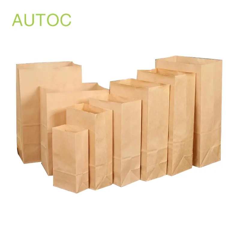 Wholesale Custom Logo Recyclable Shopping Gift Grocery Brown Kraft Paper Bag