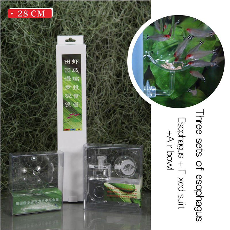 28 cm tube d'alimentation aérienne + ventouse fixe + bol de crevettes