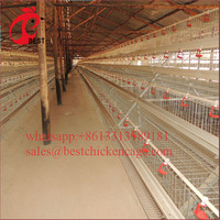 Nouvellement conçu 3 niveaux de type gril h cages galvanisé un cadre 3 étages cage à poulet de poul technologie d'élevage de volaille machine