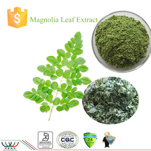 العالم-- طريقةجودة عالية إضافي-- عنصر التغذية 10:1 ماغنوليا استخراج أوراق - Product Image 1