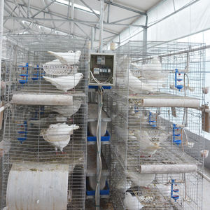 Gabbia Pieghevole Zincata per Allevamento di Pollame e Piccioni - Product Image 4