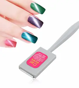 1 boîte d'outils pour le nail art, aimant pour œil de chat, gel des ongles