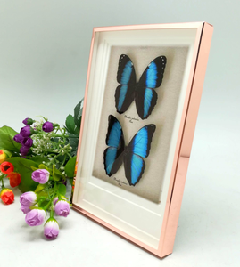 Chất lượng cao kim loại khung ảnh thiết kế mới 3D Sâu Bướm bóng hộp cho phong cảnh đối tượng - Product Image 3