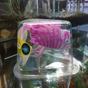 NIHAO Nouveau Artificielle Silicone Fish Tank <span class=keywords><strong>Aquarium</strong></span> Faux Coral Plante Aquatique Sous-Marine de <span class=keywords><strong>Mer</strong></span> Anémone - Product Image 4