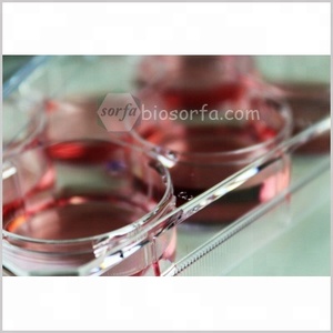 6Well 12Well 24Well 96Well Lab Plastik Sekali Pakai Pelat Budaya Sel Jaringan
