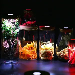 יד זכוכית מנופחת חממה אגרטל עם LED צבעוני אורות