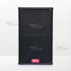 VÒNG CUNG 10 trong nhà đơn giản 10 inch thống dòng mảng loa - Product Image 3