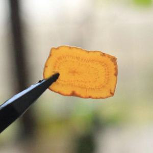 Ücretsiz örnek siyah kore kırmızı <span class=keywords><strong>Ginseng</strong></span> kökü kore <span class=keywords><strong>Insam</strong></span> <span class=keywords><strong>Ginseng</strong></span> - Product Image 6