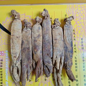 Indian Minuman Kesehatan Teh Hijau Ekstrak Akar Dengan Panax <span class=keywords><strong>Ginseng</strong></span> Korea Bubuk - Product Image 2