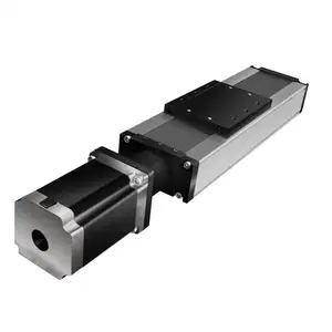 Paypal Menerima Cnc Nema 34 Stepper Motor Linear Guide Rail