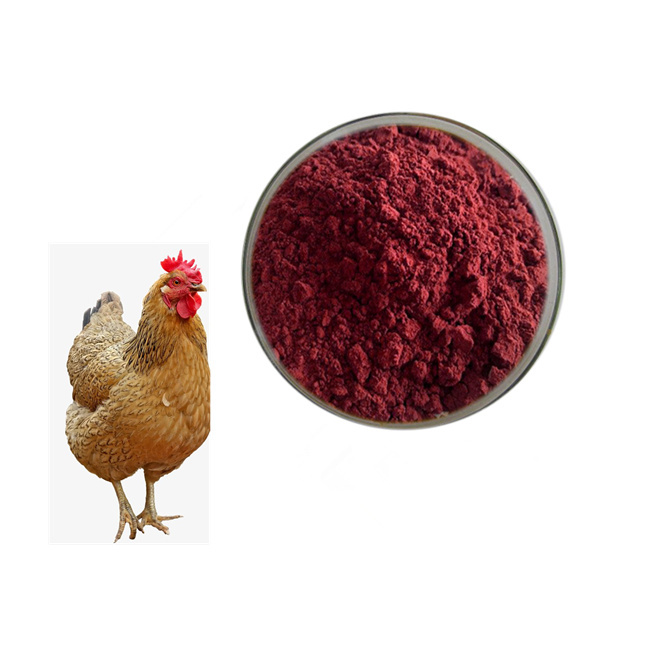 astaxanthin manufacturer astaxanthin manufacturer