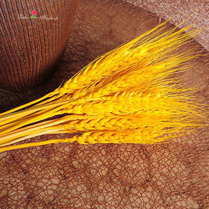 Nuova Offerta: Fiore Secco Artificiale di Grano per Decorazione - Product Image 5