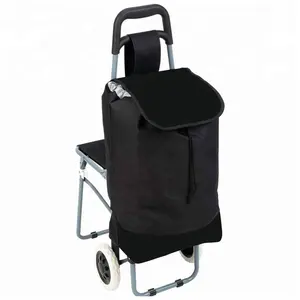 Hoge kwaliteit nieuw product Japanse eminent trolley tas Metalen Winkelen trolley/Winkelwagen