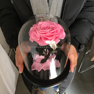 Attractive Never Die Rose For Decorative Needs Alibaba Com