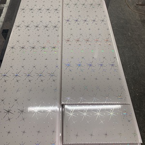 Techos En Drywall O Laminas Para Cielo Raso O Cielos Rasos En Pvc Vata De Madera Para Banos Y Retret - Product Image 5