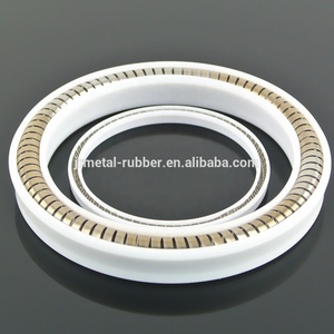 Carbon/Đồng/Thủy Tinh Chứa Đầy PTFE Mùa Xuân Tràn Đầy Sinh Lực Con Dấu PTFE PTFE Graphite Mùa Xuân Với Xiên Cuộn Dây Hoặc Canted Cuộn Dây mùa Xuân - Product Image 6