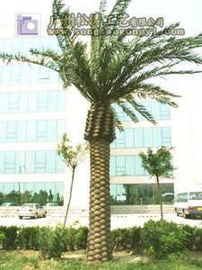 Quảng Châu Nhà Máy Làm Cho Ngày Ngoài Trời Dừa Cây Cọ Nhân Tạo Lớn Cây Cây - Product Image 5