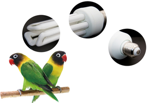 <span class=keywords><strong>Arcadia</strong></span> Standards 20W UVB 2.4% Lampe à oiseaux pour perroquets et canaris Matériau en verre