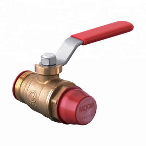 थ्रेडेड आंतरिक बाहरी बीएसपी एनपीटी मीट्रिक फिटिंग पतला प्लास्टिक कैप प्लग - Product Image 4