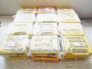 fanuc de las pruebas al 100% el original de la importación nuevo IO A02B-0236-C205 la garantía de un año - Product Image 1