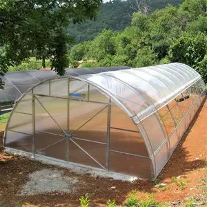 Túnel de invernadero de plástico para cultivo de verduras
